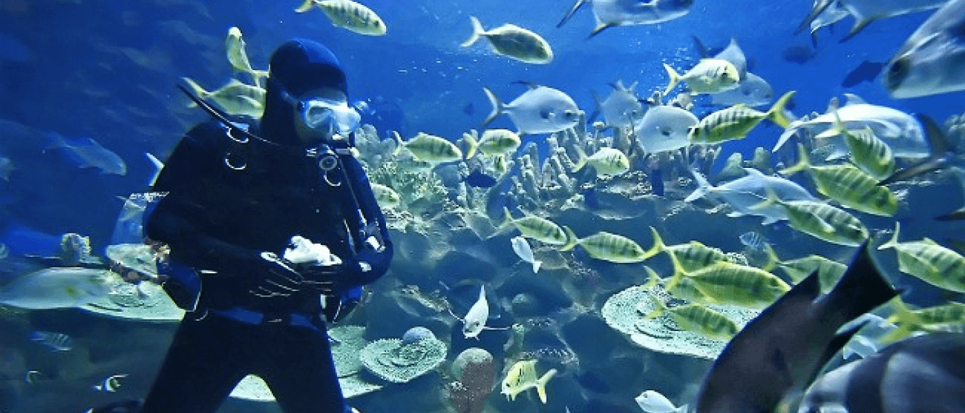 Scuba Diving